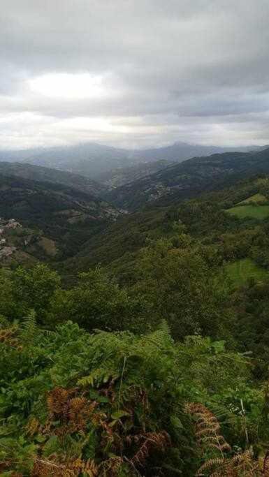 Encanto Asturiano Aller Exteriör bild