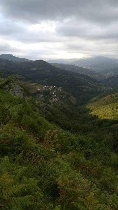 Encanto Asturiano Aller Exteriör bild